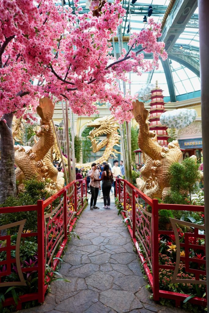 Bellagio Conservatory Lunar New Year 2024