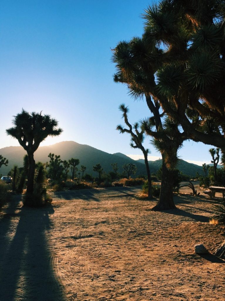 Joshua Tree National Park