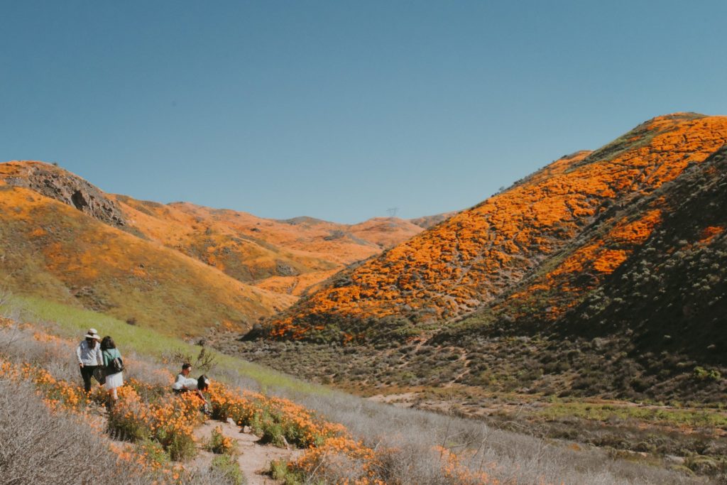 Lake Elsinore California