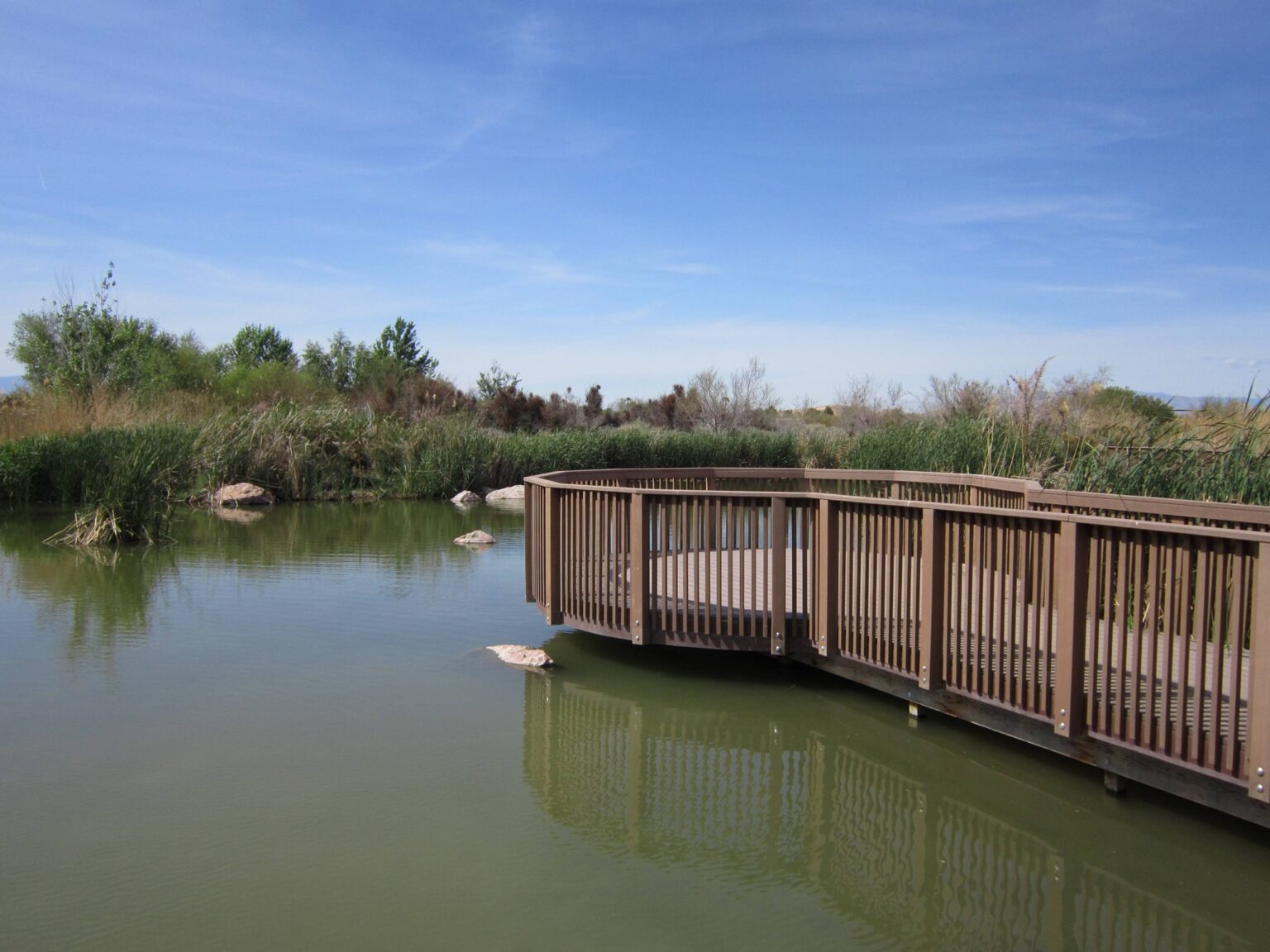 Clark County Wetlands Park protects Las Vegas Wash riparian corridor photo 2
